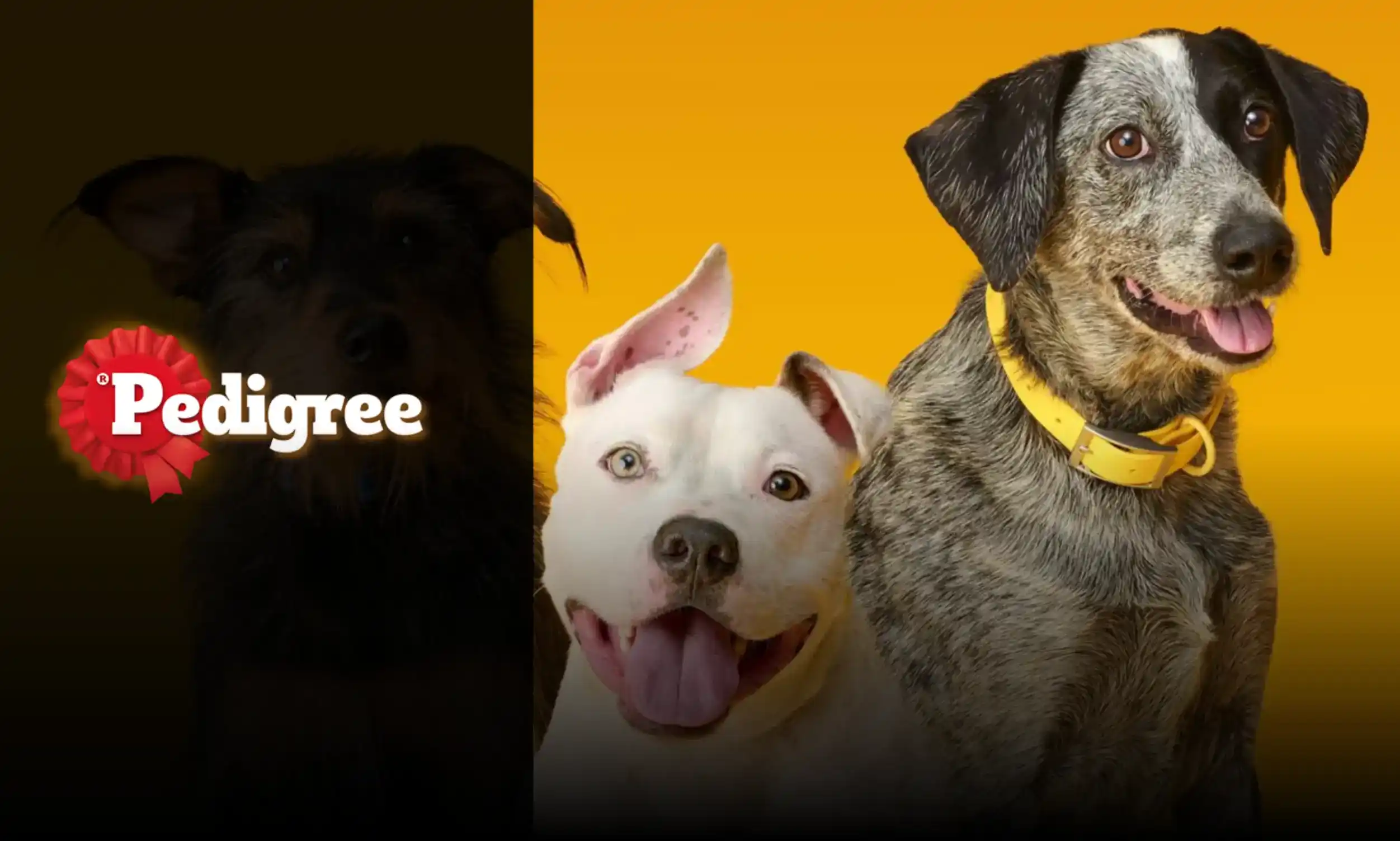 Pedigree